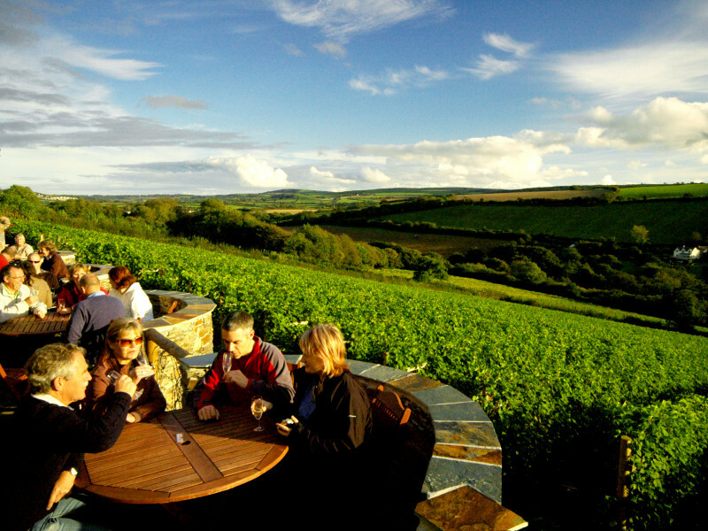 Ripe and ready A taste of success for English wine